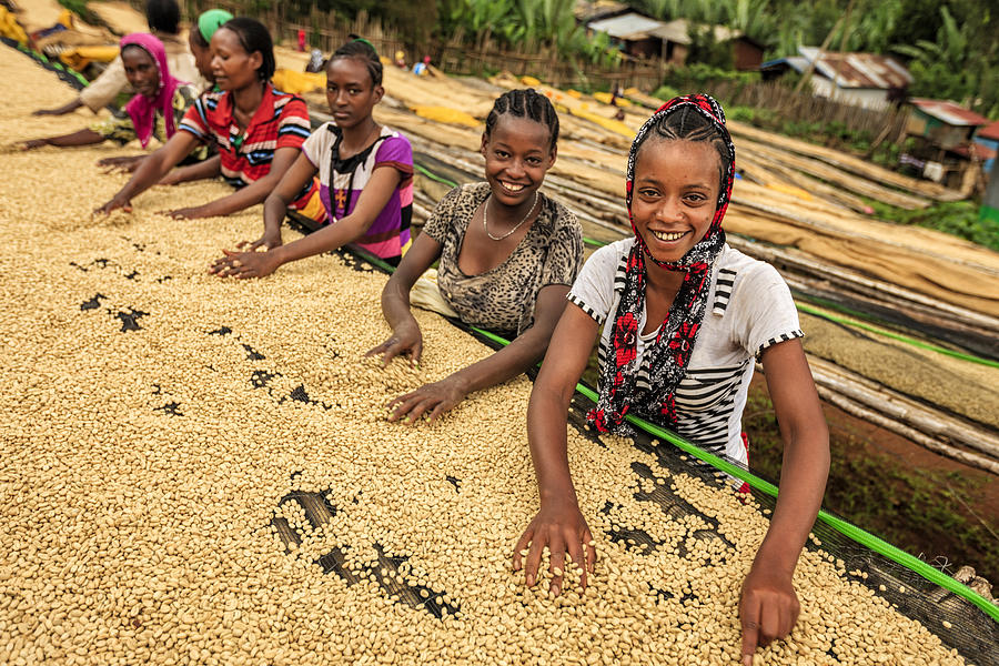 African girls and women sorting coffee beans, East Africa #1 Photograph by Hadynyah
