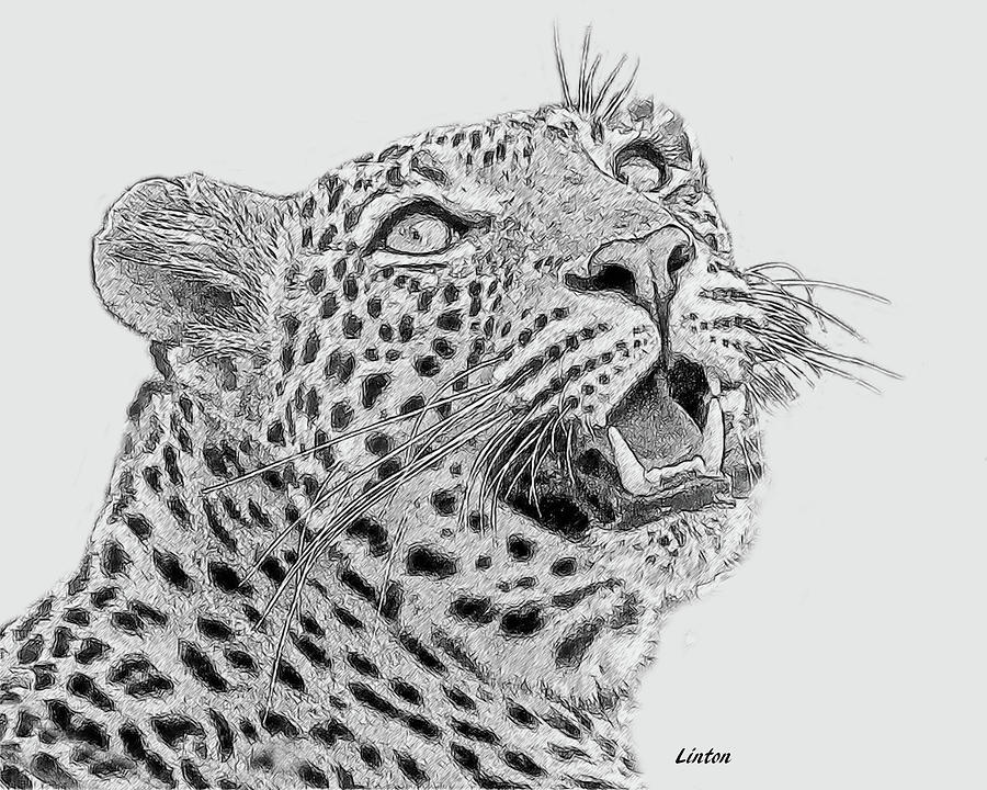 Leopard Digital Art - African Leopard Portrait #1 by Larry Linton