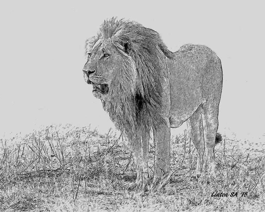 African Lion 2 #1 Digital Art by Larry Linton