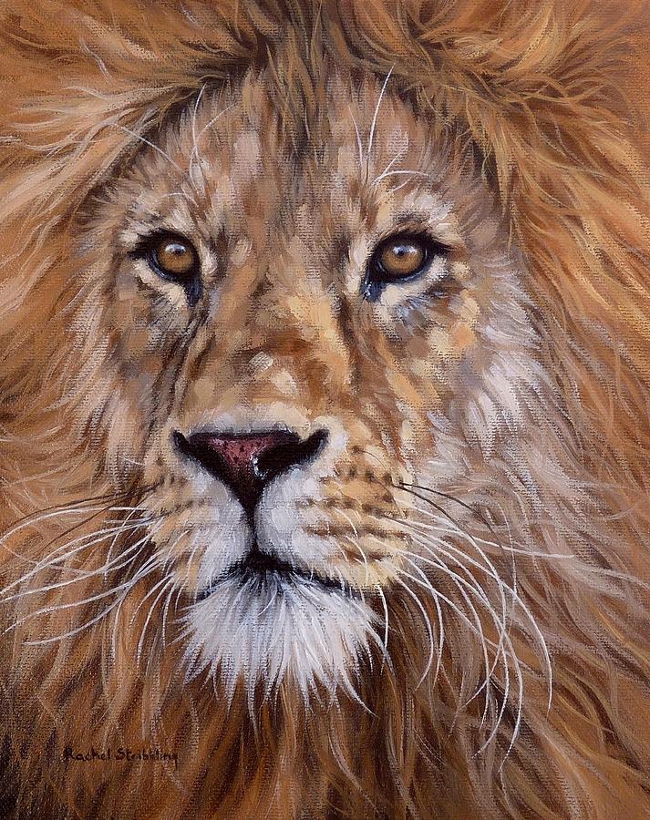 African Lion Painting Painting by Rachel Stribbling