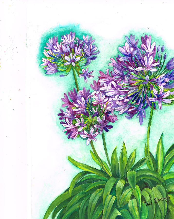 Agapanthus  #1 Painting by Val Stokes