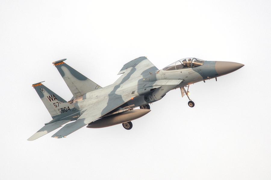 Aggressor Eagle #1 Photograph by Jeff Cook