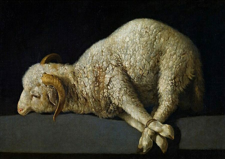 Agnus Dei, The Lamb of God Painting by Francisco de Zurbaran - Pixels