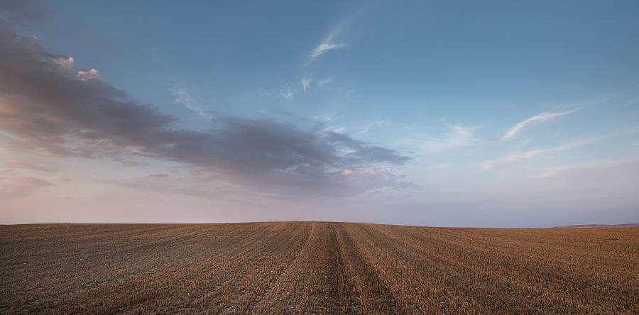 Agricultural meadow field and cloudy sky during sunset.  #1 Photograph by Michalakis Ppalis