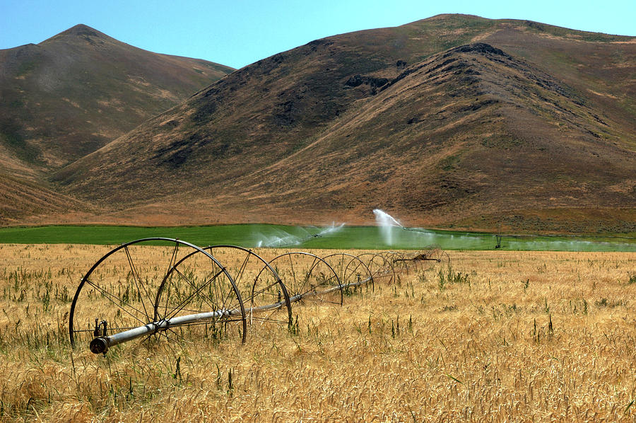 Agriculture in the Sawtooths.  #1 Photograph by Rob Huntley