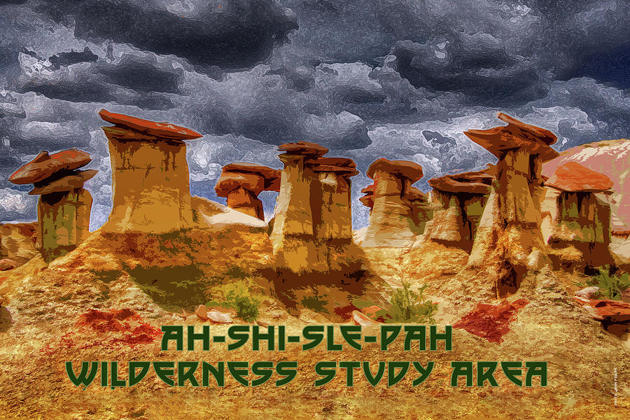 Ah-Shi-Sle-Pah Wilderness Study Area #1 Digital Art by Chuck Mountain