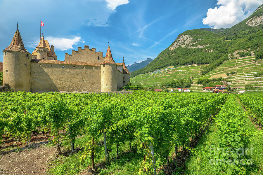 Aigle Castle and Terraced vineyards #1 Photograph by Benny Marty