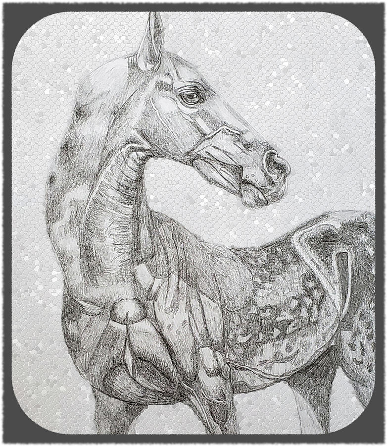 Akhal-Teke Horse #1 Drawing by Equus Artisan