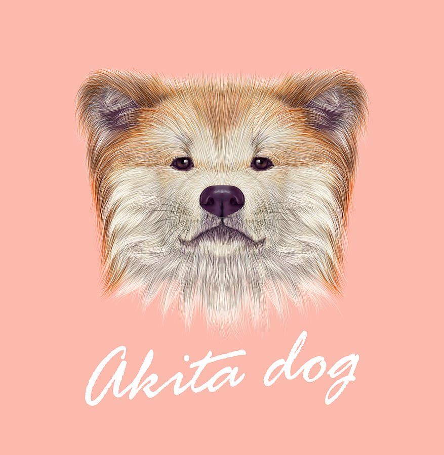 Akita Inu Japanese Dog. #1 Drawing by Ant_art