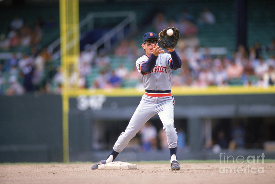 Alan Trammell Photograph by Ron Vesely