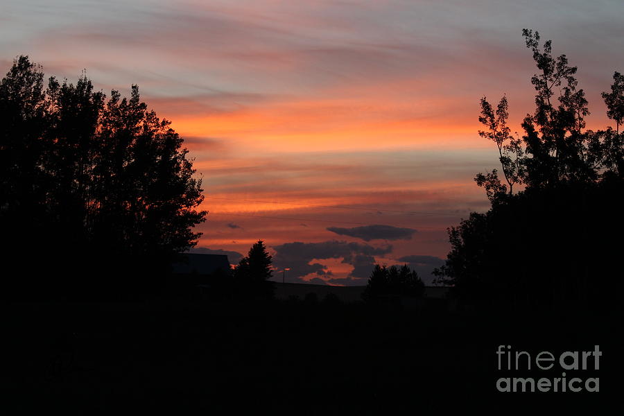 Alberta Sunset #1 Photograph by Ann E Robson
