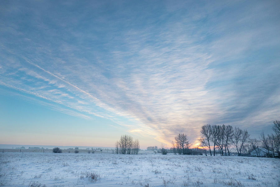 Winter Photograph - Alberta winter dawn #1 by Phil And Karen Rispin