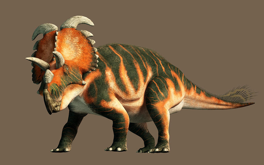 Albertaceratops Digital Art by Daniel Eskridge