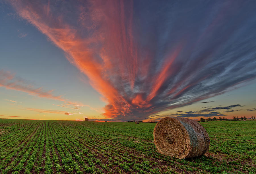 Alfalfa Bale at ND sunset Photograph by Peter Herman