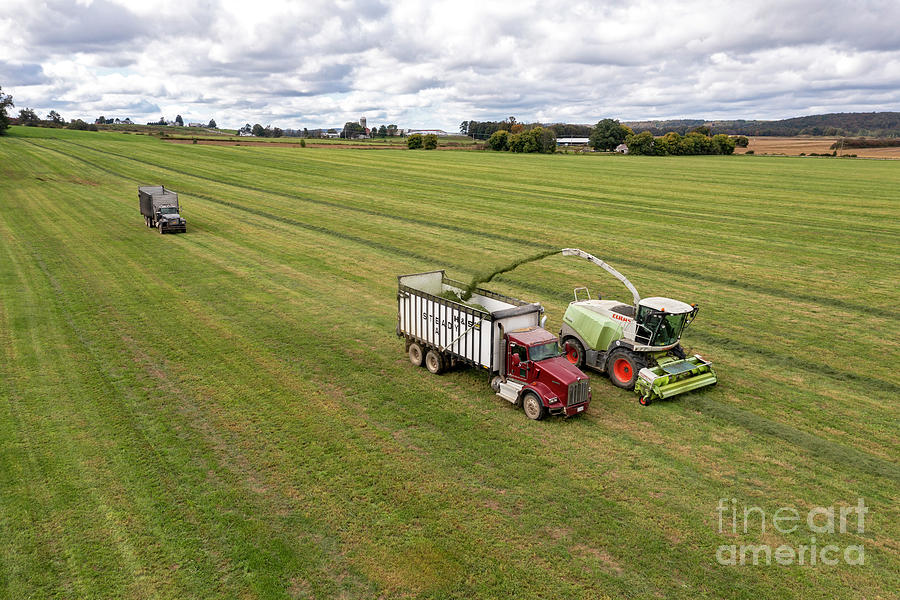 Alfalfa Harvest #1 Photograph by Jim West