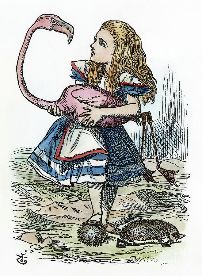 Alice's Adventures in Wonderland, 1865 Drawing by Granger
