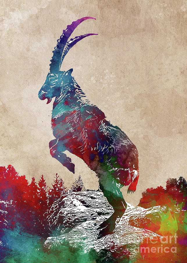 Alpine ibex #1 Digital Art by Justyna Jaszke JBJart