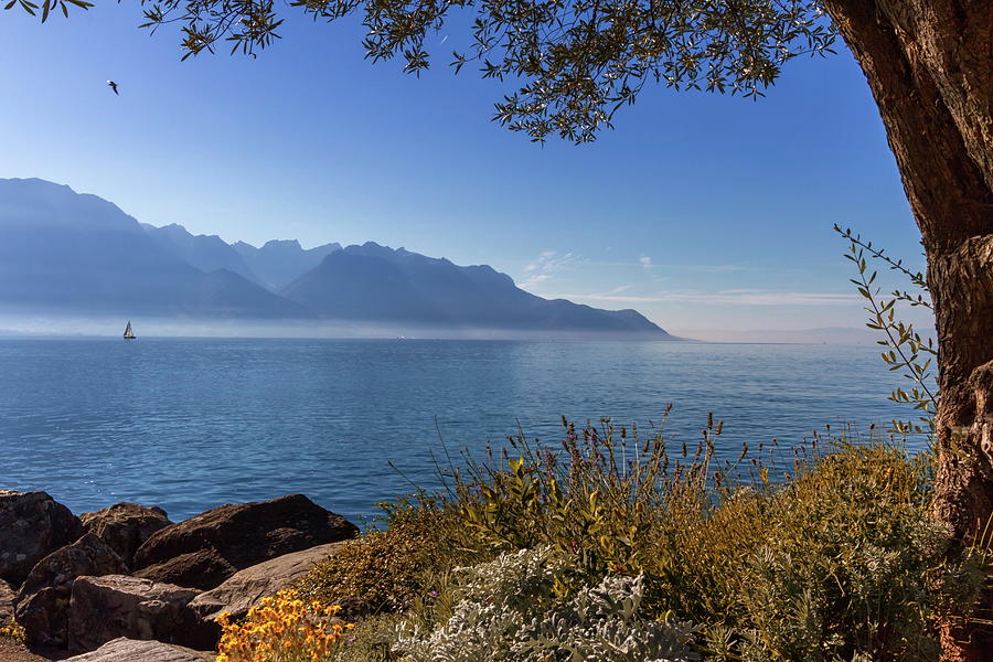 Alps mountains upon Geneva lake, Montreux, Switzerland #1 Photograph by Elenarts - Elena Duvernay photo