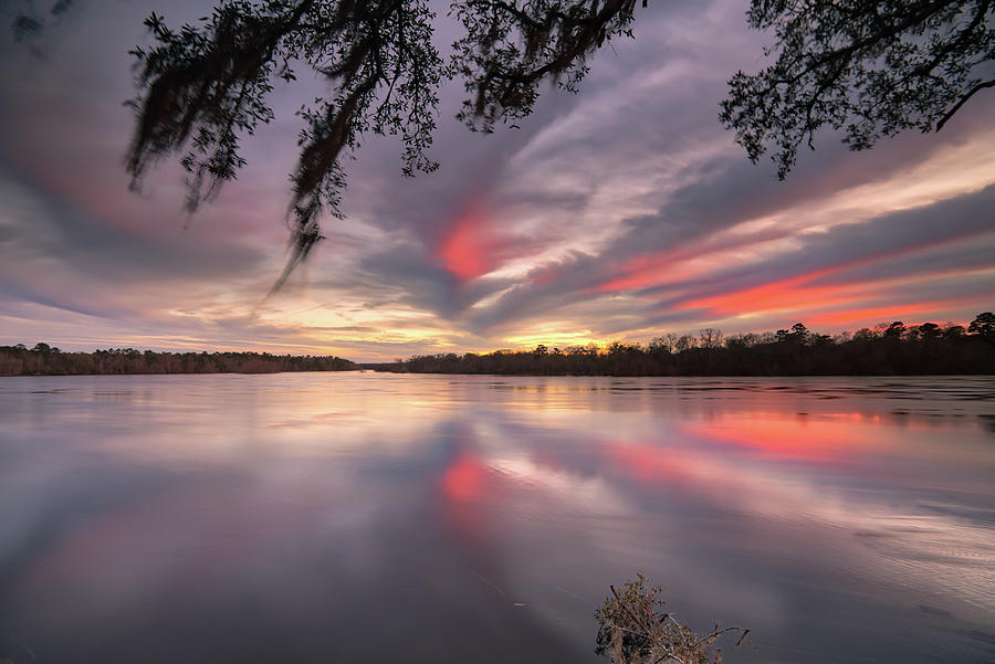 Altamaha sunset Photograph by Kenny Nobles