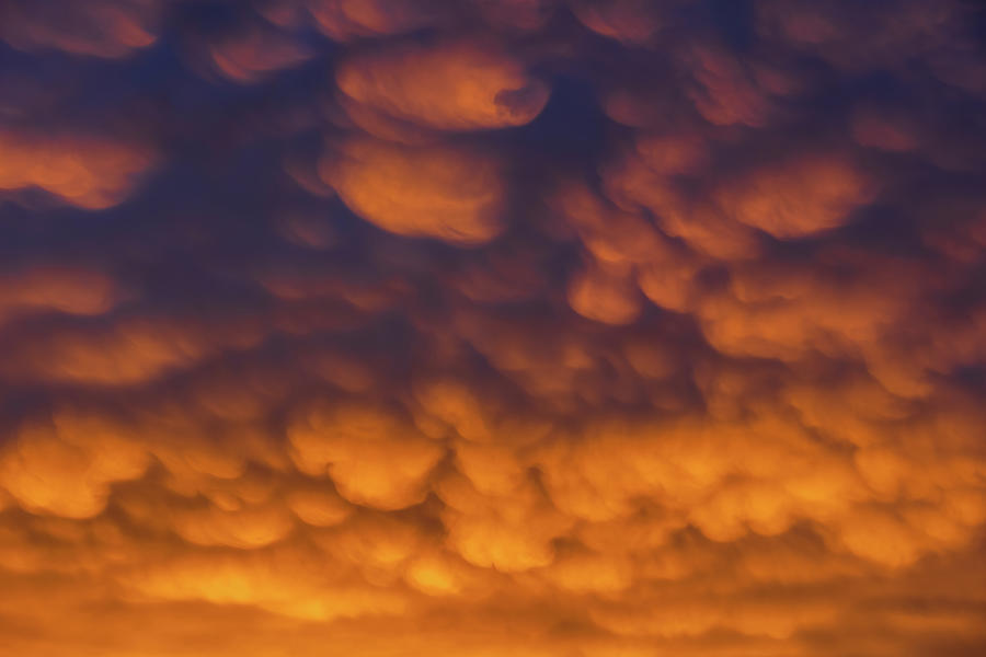 Altocumulus Clouds In Sunset Sky Cloudscape Photograph by Artur Bogacki ...