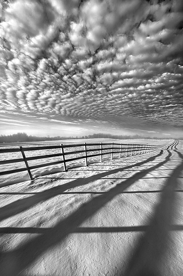 Always Whiter On The Other Side Of The Fence #1 Photograph by Phil Koch