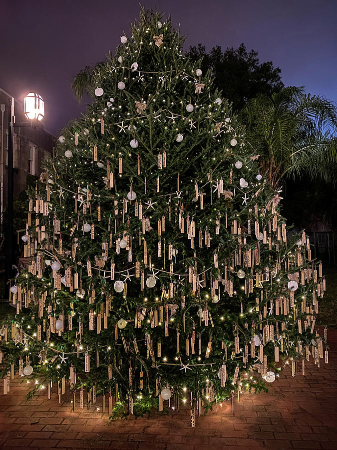 Amelia Island 2019 Christmas Tree, Florida #1 Photograph by Dawna Moore Photography
