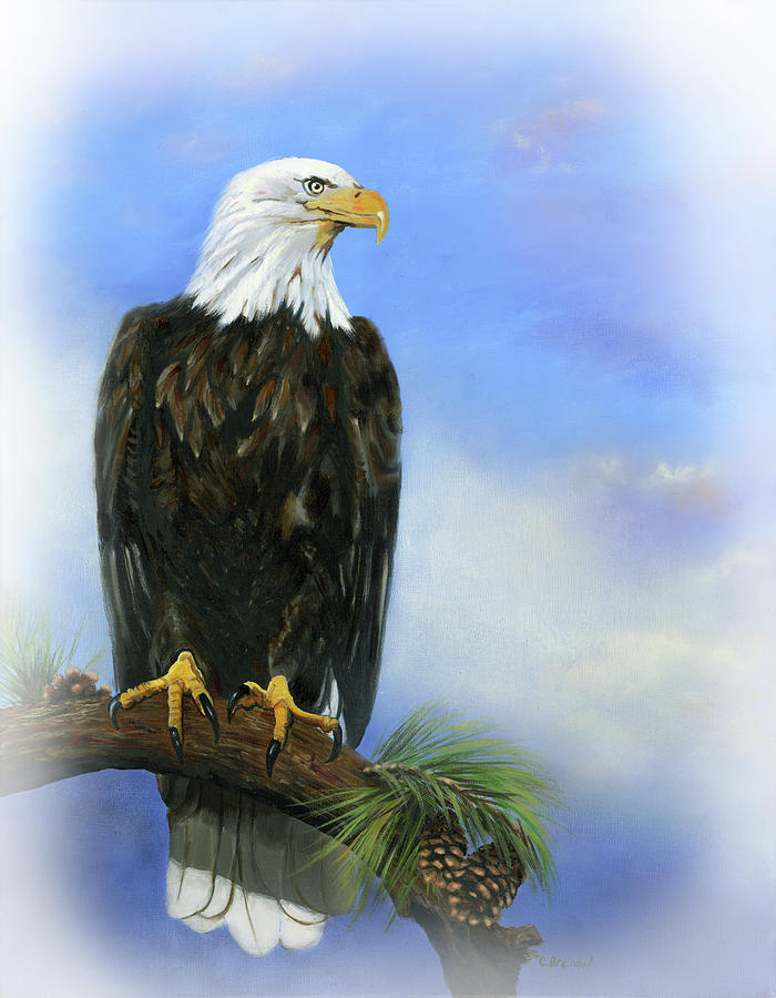 American Bald Eagle #1 Painting by Cecilia Brendel