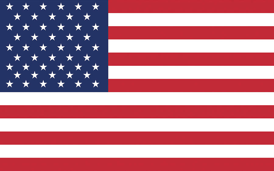 American Flag #1 Digital Art by Dave Lee