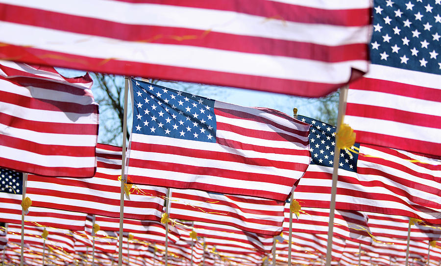 American flags #1 Photograph by Eric Abernethy