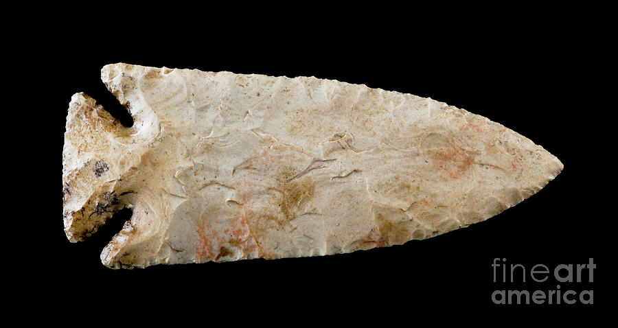 American indian flint arrowhead. Photograph by W Scott McGill - Fine ...