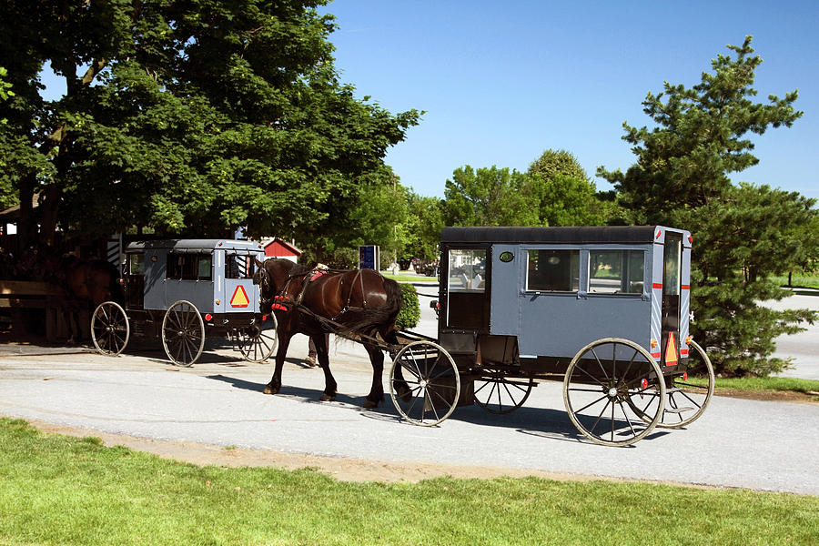 Amish Buggies Photograph by Sally Weigand