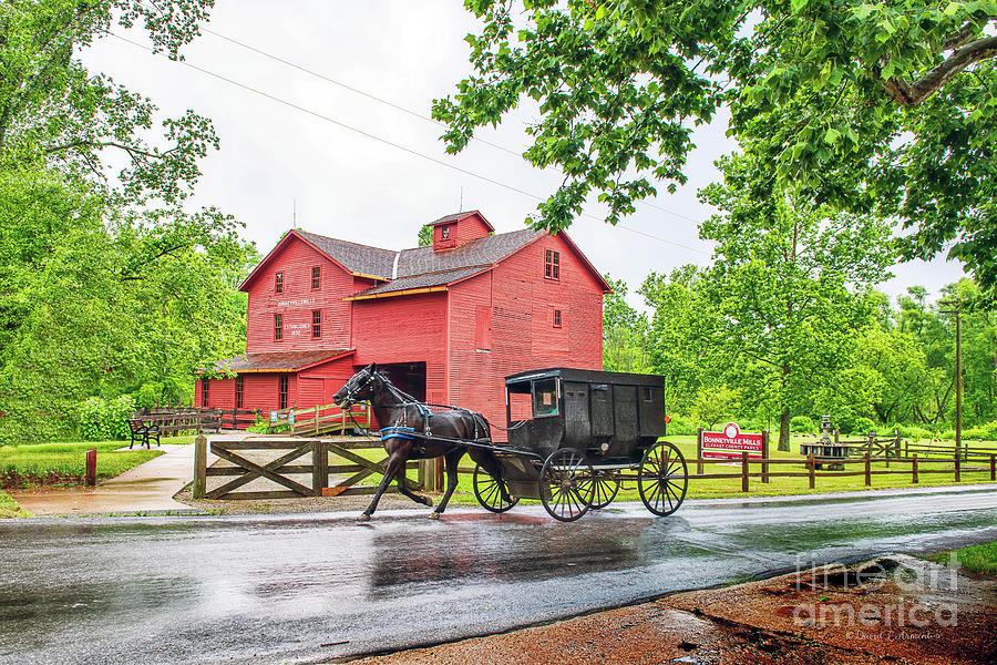 Amish Buggy at Bonneyville Mills #1 Photograph by David Arment