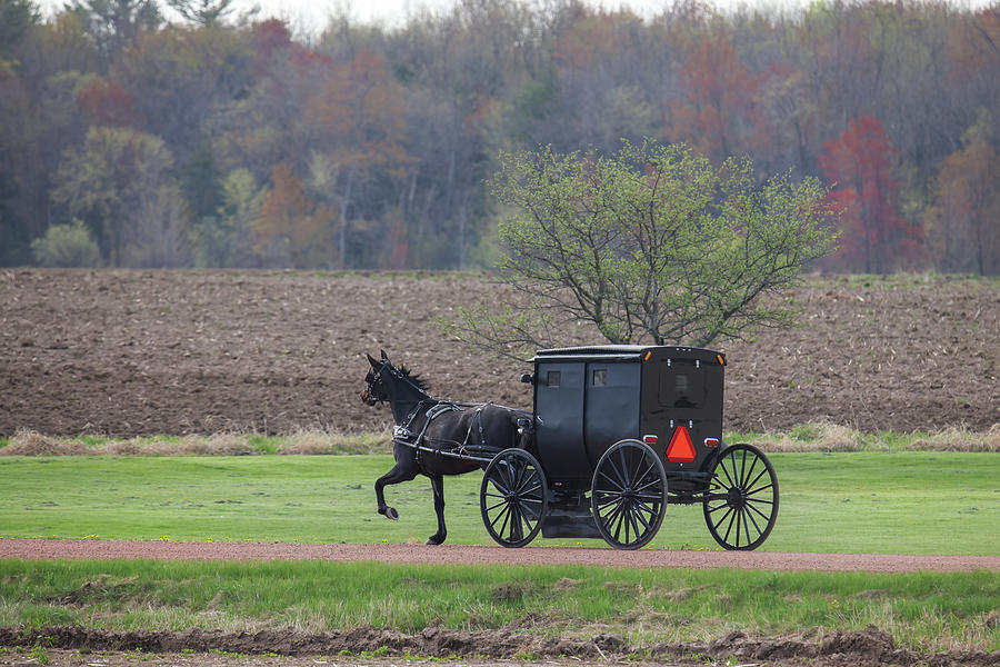 Amish Buggy #1 Photograph by Brook Burling