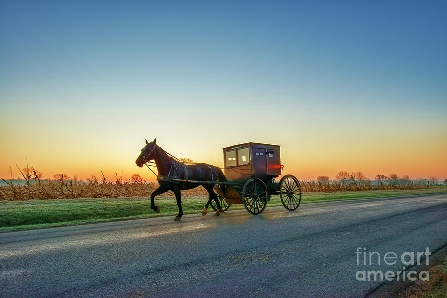 Amish Buggy Pre-Dawn in Rural Indiana #1 Photograph by David Arment
