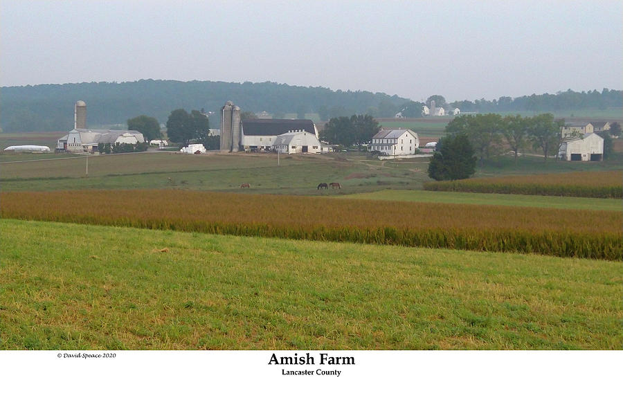 Amish Farm #1 Photograph by David Speace