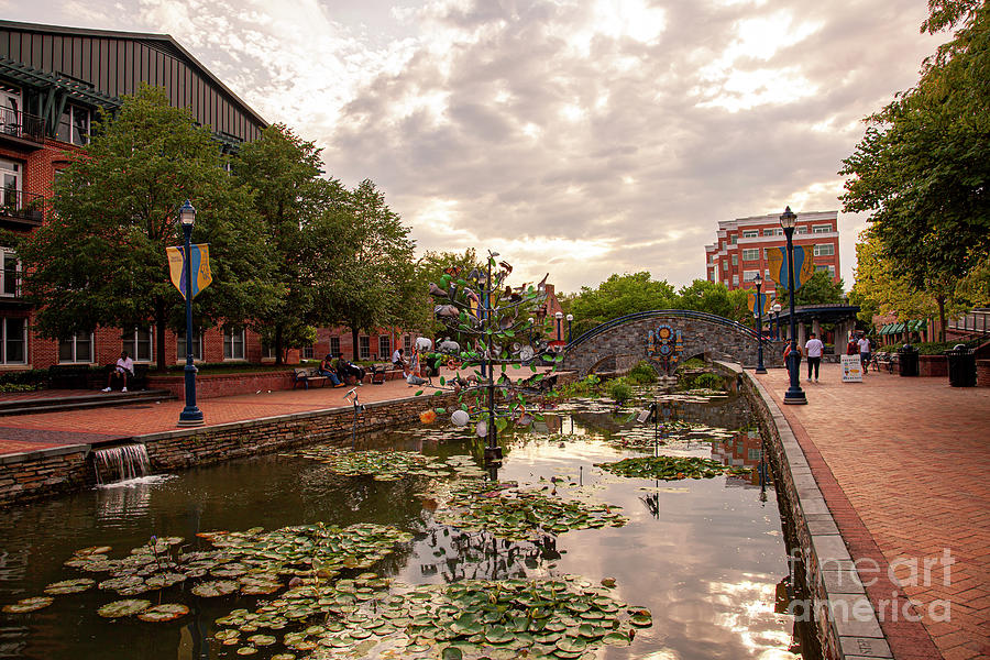 An afternoon view of the Carroll Creek Park downtown Frederick An afternoon view of the Carroll Creek Park downtown Frederick