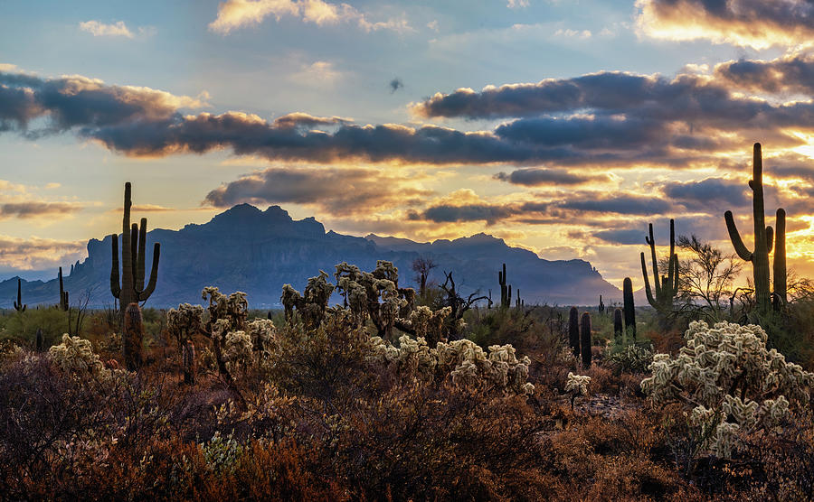 An Arizona Morning  #2 Photograph by Saija Lehtonen