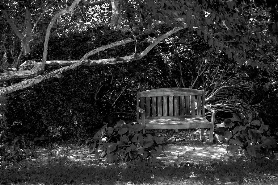 An Invitation to Sit I Photograph by Kathi Isserman