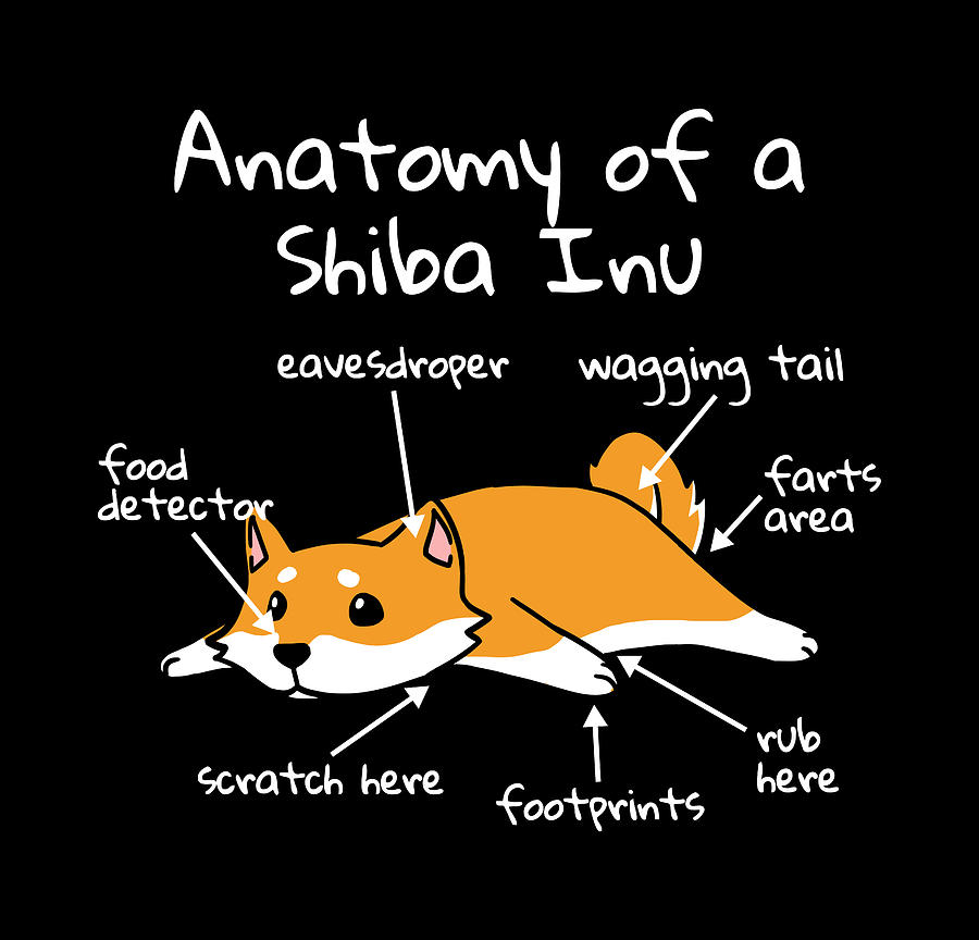 Anatomy Of A Shiba Inu Digital Art by Jeff Chen Pixels