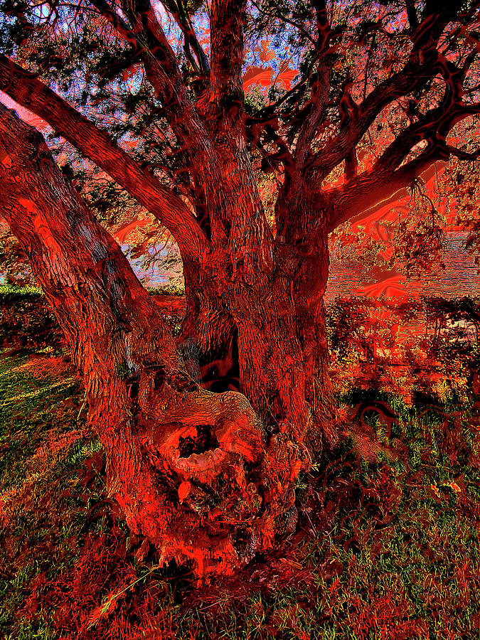 Ancient Tree. Digital Art