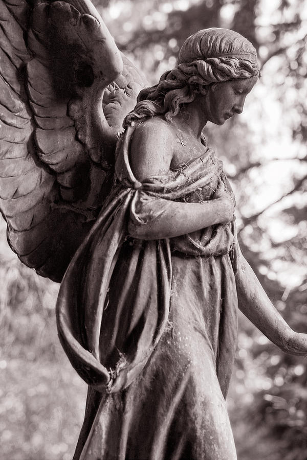 Angel #1 Photograph by Pixonaut