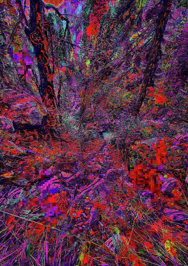Another Forest Digital Art