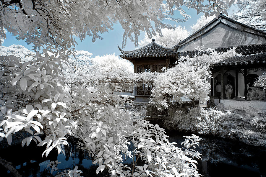 Another Look Asia China - Between the frozen leaves #1 Photograph by Philippe HUGONNARD