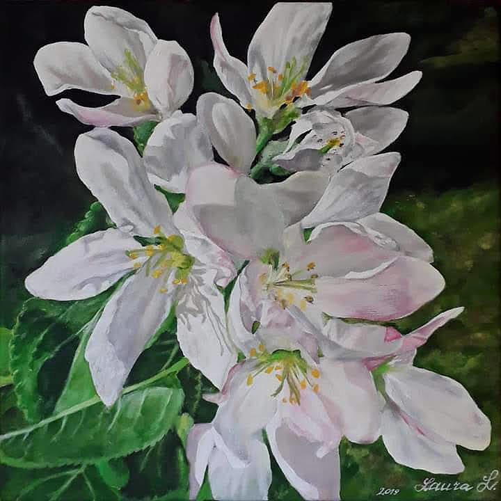 Apple Blossom Painting By Laura Liepina Fine Art America