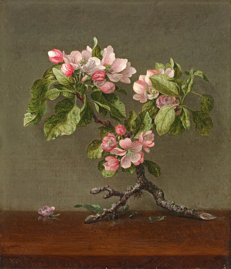 Apple Blossoms #1 Painting by Martin Johnson Heade