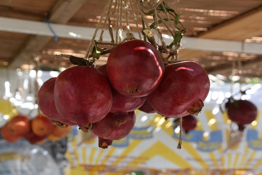Apple in a sukkah #1 Photograph by tzahiV
