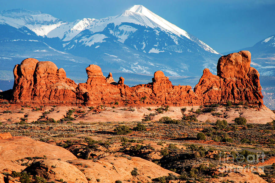 Arches National Park Garden of Eden and La Sal Mountain Range One #1 Photograph by Bob Phillips