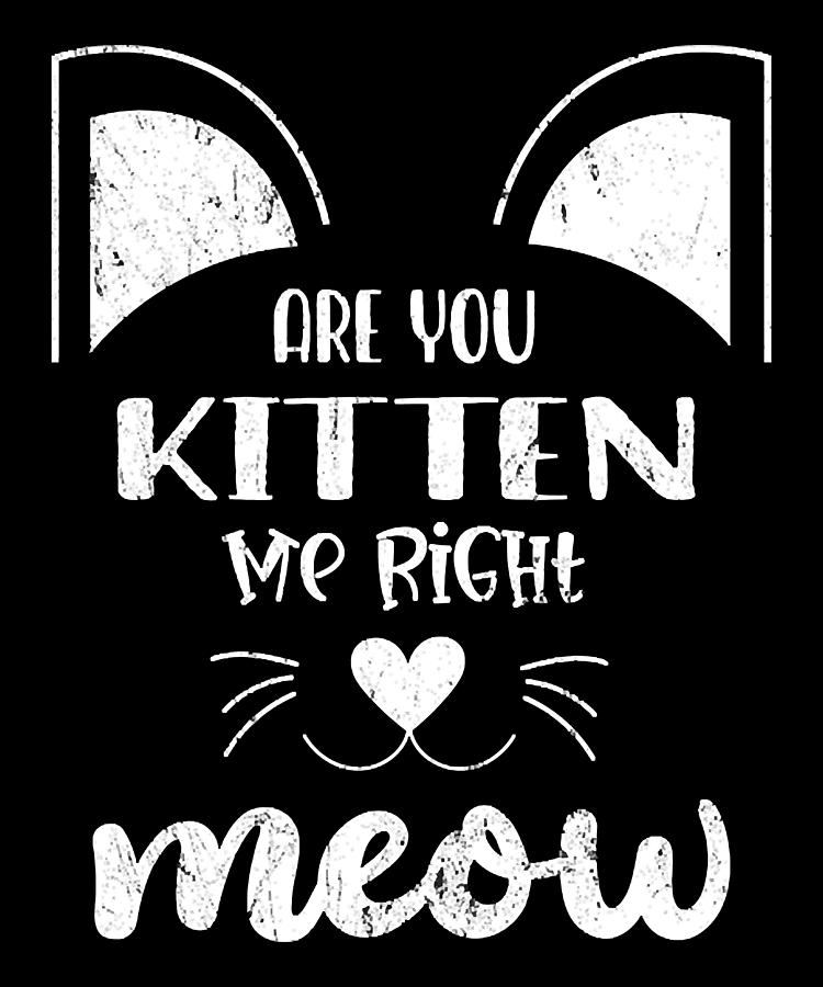 Are You Kitten Me Right Meow Digital Art By Dastay Store - Fine Art America