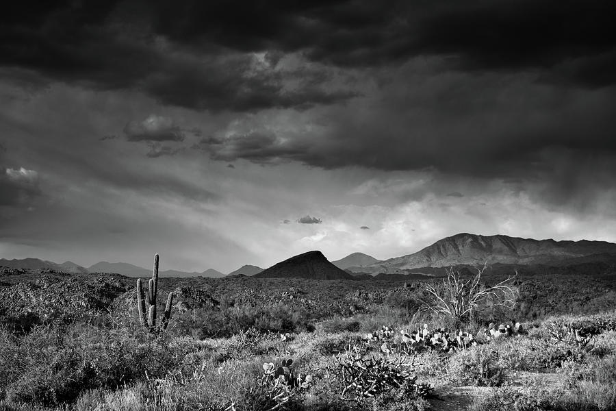 Arizona Desert Black and White #1 Photograph by Chance Kafka