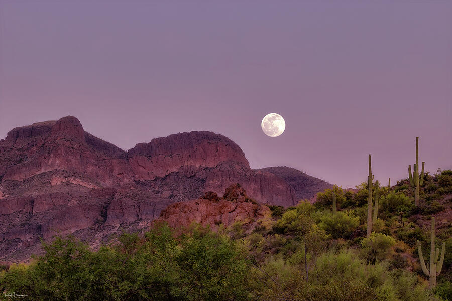 A Desert Moon Photograph by Rick Furmanek